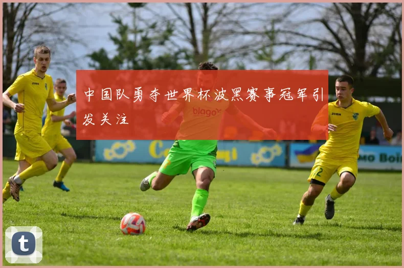 中国队勇夺世界杯波黑赛事冠军引发关注