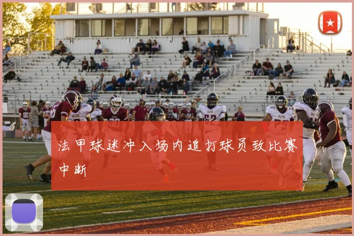 法甲球迷冲入场内追打球员致比赛中断