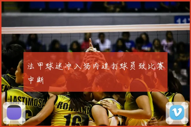 法甲球迷冲入场内追打球员致比赛中断